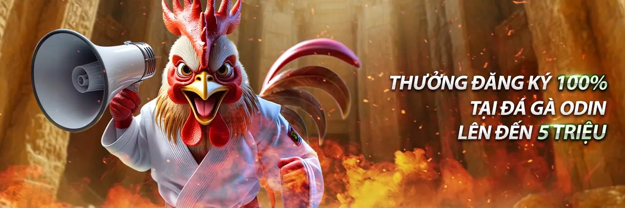 Hình ảnh trang đầu về tuân thủ GDPR tại cmd368 nha cai